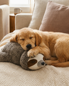 CalmHeart™ Perezoso — Para perros tranquilos
